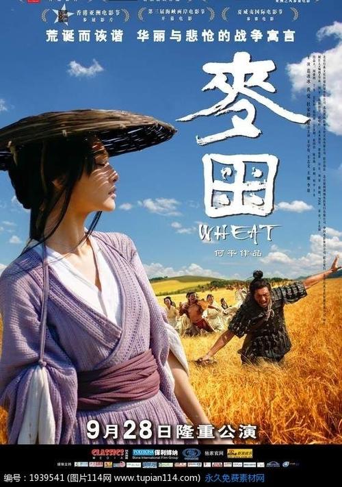 维波瓦伦蒂亚音乐学院国际商务文凭证书